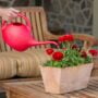 Indoor Watering Can – Red – 0.5 gal